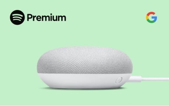 Is Google Home Mini Really Free Spotify Reddit